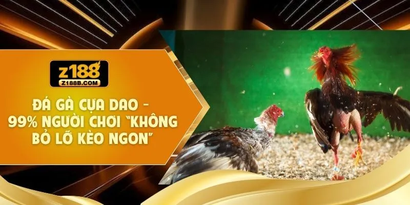 Đá Gà Cựa Dao - 99% Người Chơi “Không Bỏ Lỡ Kèo Ngon”