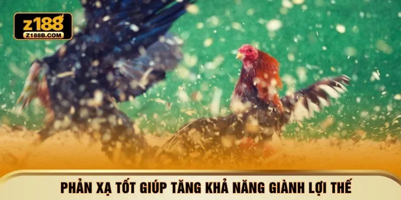 Phản xạ tốt giúp tăng khả năng giành lợi thế