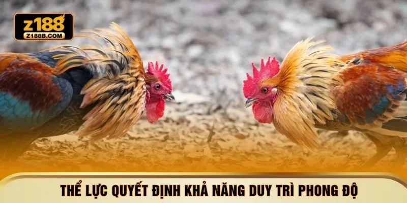 Thể lực quyết định khả năng duy trì phong độ