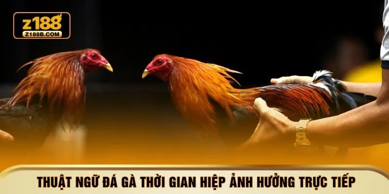 Thuật ngữ đá gà thời gian hiệp ảnh hưởng trực tiếp 